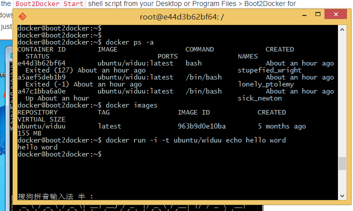 windows docker run